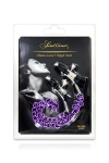 Chaine et pinces � seins Sweet Caress