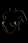 Chaine et pinces � seins Sweet Caress